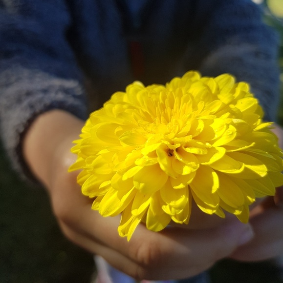 Meet your Posher, Mary - Picture 1 of 1